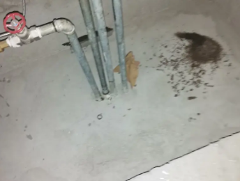 阜平卫生间测漏水价格明细